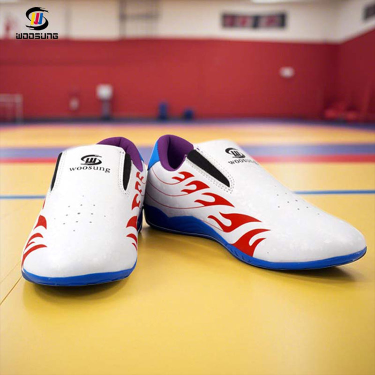 Sepatu Olahraga Taekwondo